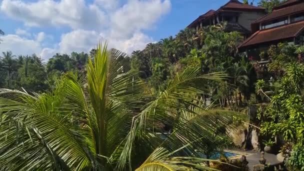 Egzotyczny Tropikalny Kurort Basen Dżungli Wyspy Bali Indonezja — Wideo stockowe