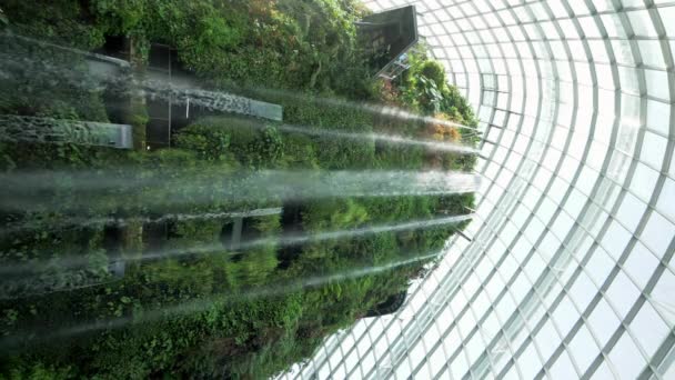 Indvendigt Billede Cloud Forest Singapore – Stock-video