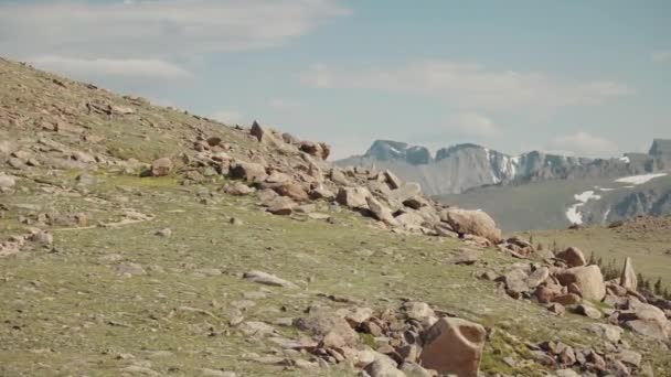 Tundra Stenar Rocky Mountain National Park — Stockvideo