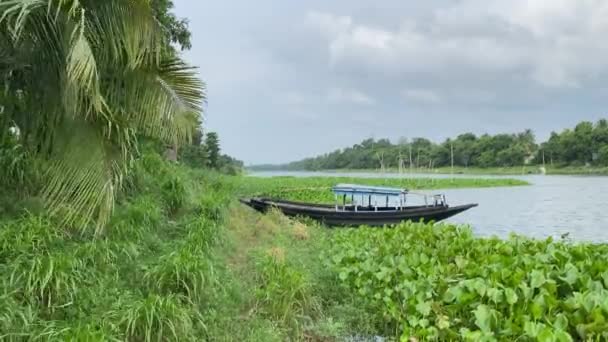 Bela Paisagem Bengala Com Rio Floresta Barco Solitário Dia Nublado — Vídeo de Stock