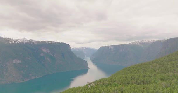 Berg Och Aurlandsfjord Från Stegastein Viewpoint Med Green Forest Aurland — Stockvideo