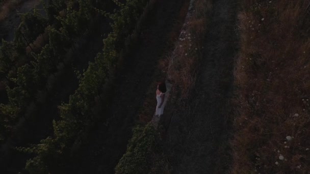 美丽的年轻女子 身穿白衣 凝视着夕阳西下的葡萄园 — 图库视频影像