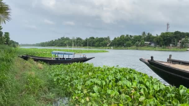 Hermoso Paisaje Bengala Rural Con Río Bosque Dos Barcos Día — Vídeo de stock