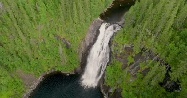 Vista Aerea Epica Delle Cascate Che Cadono Piscina Circondati Alberi — Video Stock