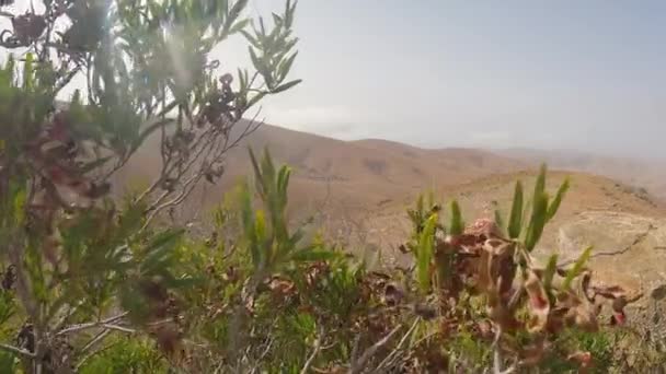 Mountain Desert Landscape View Hillside Slope Poucas Plantas Crescentes Fuerteventura — Vídeo de Stock