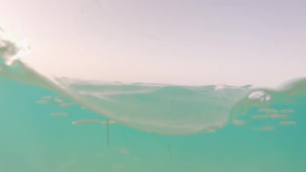 Ныряние Маской Трубкой Острове Фуэртевентура Атлантическом Океане Канарские Острова Испания — стоковое видео