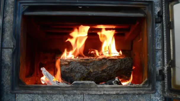 Chiudere Porta Camino Stufa Legna Una Fredda Giornata Invernale — Video Stock