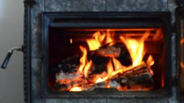 在寒冷的冬日里 一个燃烧着木头的滑块在一个燃烧着木头的火炉里燃烧着 — 图库视频影像