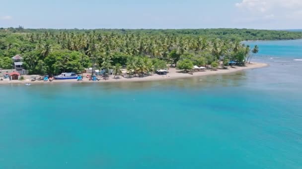 Turkuaz Suyu Tropik Palmiye Ağaçları Olan Güzel Kumlu Sahil Manzarası — Stok video