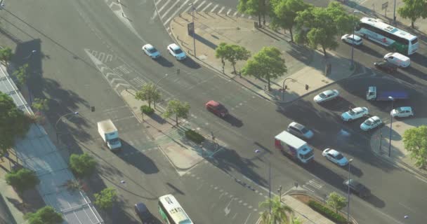 Luftaufnahme Der Straßenkreuzung Und Des Zebrastreifens Hohe Luftaufnahme — Stockvideo