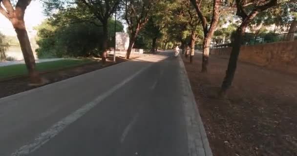Povセビリア電動スクーターモビリティ早朝自転車やランナーと公園で通勤乗って — ストック動画