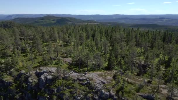 Escursionisti Una Ripida Scogliera Circondata Dense Pine Forest Rivelazione Aerea — Video Stock