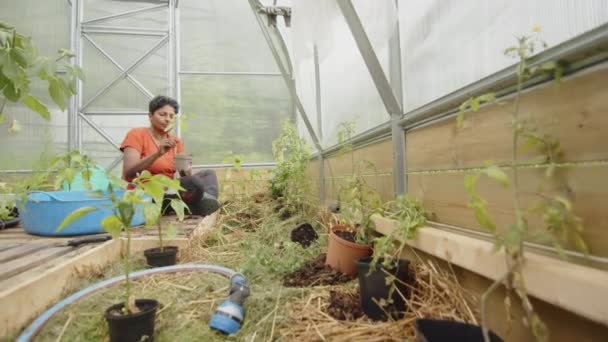 Slider Ampla Foto Uma Mulher Indiana Atraente Plantando Sua Estufa — Vídeo de Stock