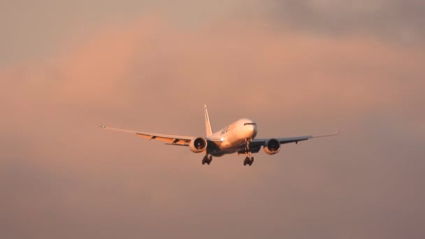 Repülőgép Logikai Boeing Repülés Közben Torontói Nemzetközi Repülőtéren Kanada — Stock videók