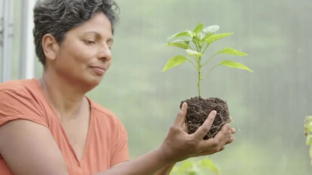 Suficiência Self Uma Mulher Indiana Atraente Embala Uma Planta Jovem — Vídeo de Stock