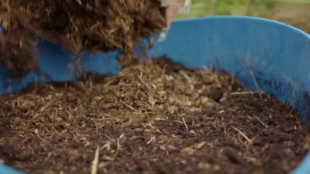 Sostenibilità Autosostenibilità Compost Erboso Viene Versato Una Borsa Secchio — Video Stock