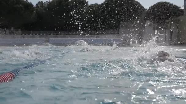 Замедленная Съемка Пловцов Плескающихся Бассейне Гоняющихся Друг Другом — стоковое видео