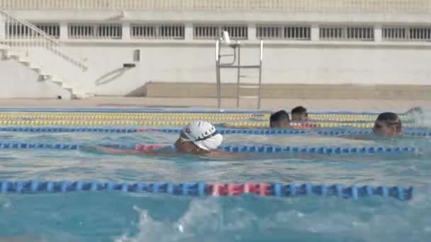 Nadadores Profesionales Nadando Con Una Mano Modo Superman Hacia Línea — Vídeo de stock