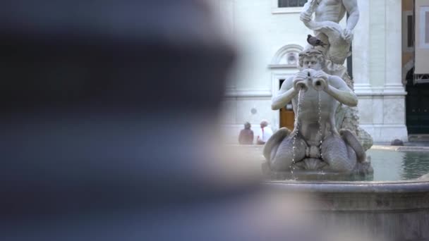 이탈리아 로마에 나보나 광장의 끝에는 관광객들 폰타나델 즉무어 분수가 — 비디오