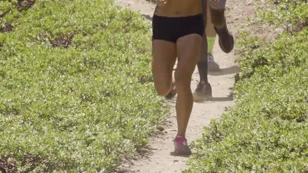 Farklı Profesyonel Koşuculardan Oluşan Bir Grubun Bacaklarına Yaklaş Yavaş Çekimde — Stok video