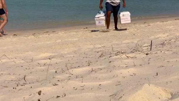 Ciambelle Fresche Vengono Consegnate Sulla Spiaggia Pasta Fritta Portoghese Con — Video Stock
