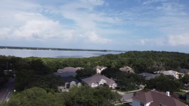 Zona Residenziale Safety Harbor Appena Nord Old Tampa Bay Molti — Video Stock
