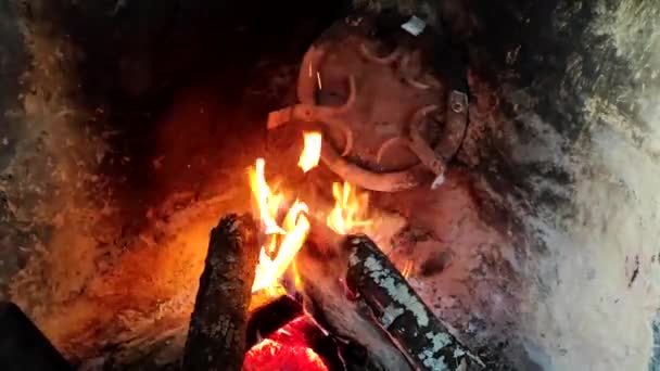 Nahaufnahme Von Brennendem Brennholz Rustikalen Kamin Ein Loderndes Feuer Kamin — Stockvideo