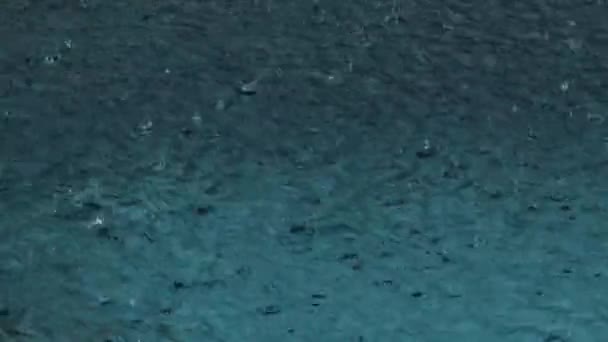 Bir Birikintisi Üzerinde Şiddetli Yağmur Damlası — Stok video