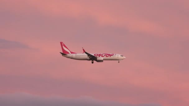 Авиакомпания Swoop Boeing 737 Спускается Землю Фоне Яркого Закатного Неба — стоковое видео