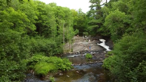 Itinerario Trekking Popolare Attraverso Foresta Acero Fiume Stubbs Falls Pista — Video Stock