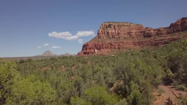 Vliegen Boomtoppen Tward Rode Rots Berg Sedona Arizona — Stockvideo