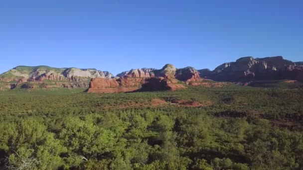 Survolant Cime Des Arbres Vers Montagne Rocheuse Rouge Sedona Arizona — Video