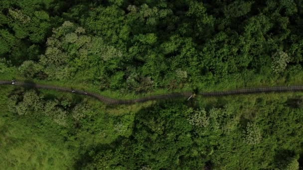 Overhead Tiro Campuhan Ridge Walk Ubud Bali — Vídeo de Stock