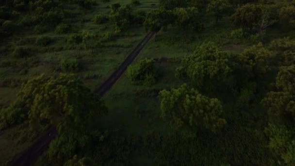 アグンバリ山と森の周りの学校を明らかにジャングルの中を飛ぶドローン — ストック動画