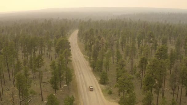 Smokey Bos Luxe Suv Rijden Onverharde Weg Luchtfoto Volgen Beelden — Stockvideo