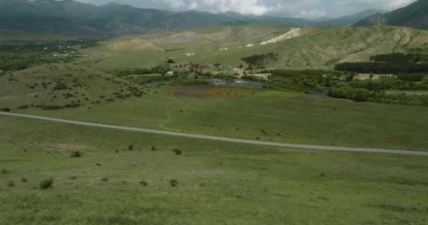 Wypas Zwierząt Gospodarskich Rozległych Pastwiskach Krajobrazach Pobliżu Granic Gminy Aspindza — Wideo stockowe