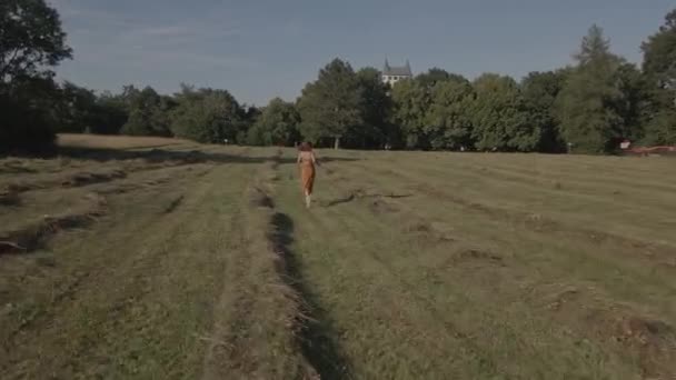 在一架无人驾驶飞机的近距离跟踪下 一个女孩在草地上奔跑 周围是一片森林 后面是一座城堡 — 图库视频影像