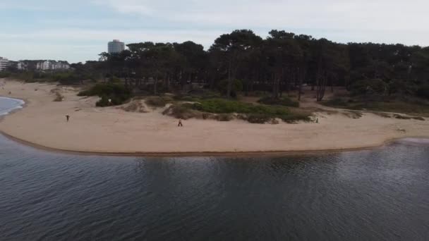 Drónfelvétel Fiatal Fiú Repülő Sárkány Homokos Partvonal Maldonado River Uruguay — Stock videók