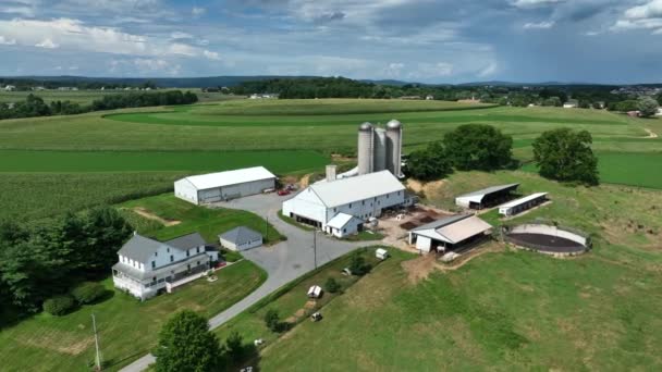 Fazenda Familiar Nos Eua Rurais Tema Agricultura Americana Com Fazendas — Vídeo de Stock