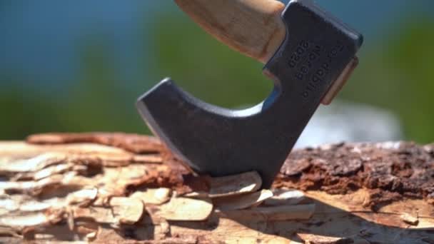 Closeup Hatchet Inserted Firewood Log Camera Slowly Moving Upwards Steel — Stock Video