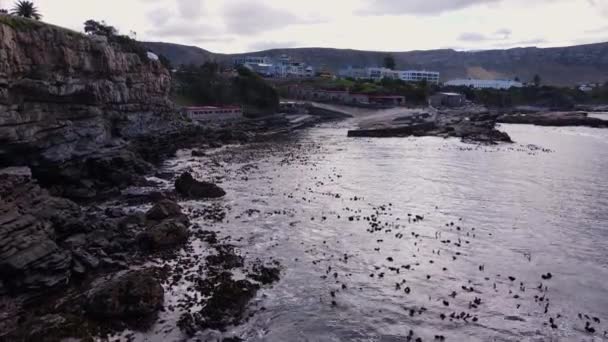 Hermanus Taki Koruyucu Deniz Kayalıklarıyla Old Harbour Insansız Hava Aracı — Stok video