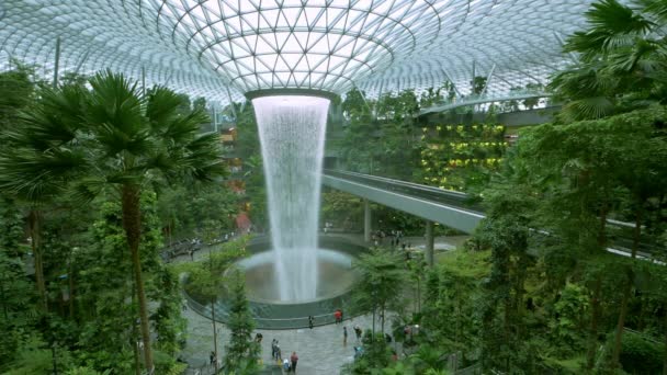 Complejo Comercial Entretenimiento Jewel Changi Airport Temático Naturaleza Está Cercado — Vídeos de Stock