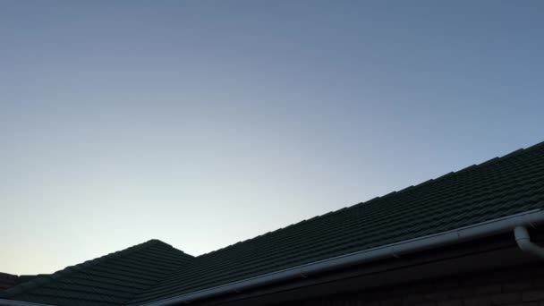 日没時に家の屋根を飛び越える一羽の鳥 — ストック動画