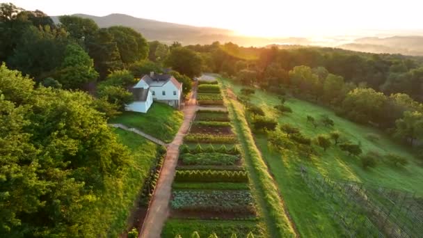 Jardim Monticello Charlottesville Virginia Dramática Aérea Revelar Nascer Sol — Vídeo de Stock