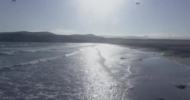 Belo Zoom Drone Tiro Voando Longo Costa Uma Praia Solitária — Vídeo de Stock