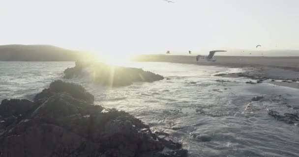 Niesamowite Ujęcie Linii Brzegowej Plaży Podczas Zachodu Słońca Mewy Latające — Wideo stockowe