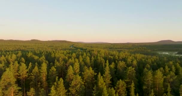 Serpientes Carretera Través Vasta Lappland Bosque Salvaje Drone Pullback Riser — Vídeo de stock