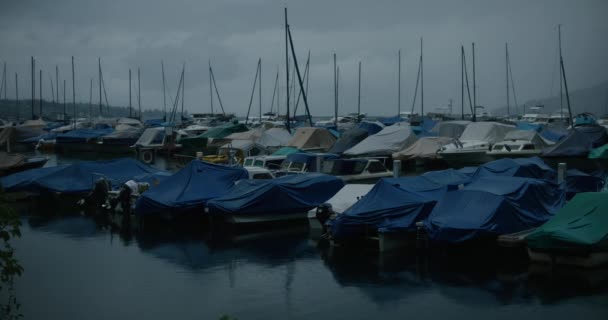 Vento Nevoeiro Barcos Lago Chuva Nublado Mal Humorado Suíço Manhã — Vídeo de Stock