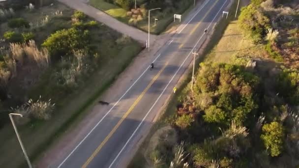 Motorcykeltur Längs Punta Del Este Huvudväg Uruguay Aerial Stigande Bakåt — Stockvideo
