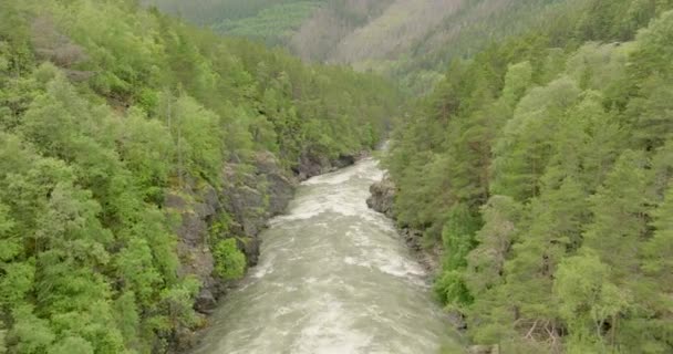 強力なグッドブランズダル川は緑豊かな谷 ノルウェーの荒野を流れます — ストック動画